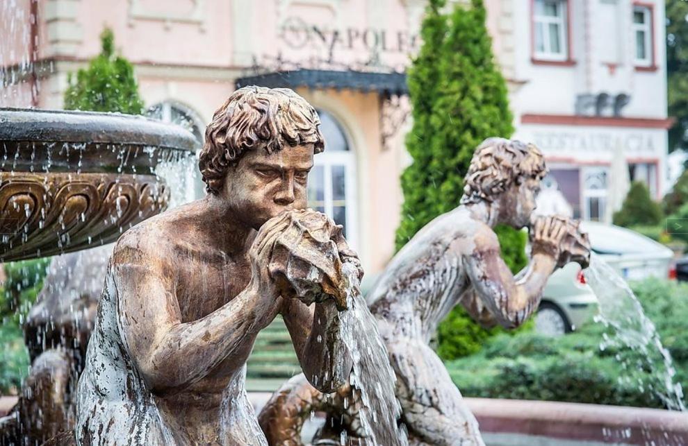 Hotel Napoleon Wroblew  Екстериор снимка